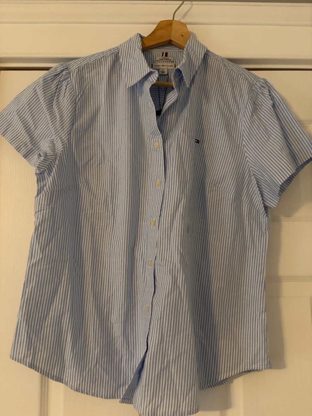 Tommy Hilfiger Light Blue and White Striped Short-Sleeve Button-Down Shirt